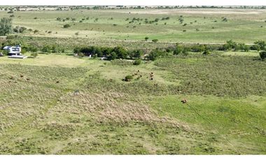Vendo Campo 20 Has en Ruta 39 Concepción del Uruguay Entre Ríos