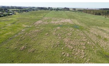 Vendo Campo 20 Has en Ruta 39 Concepción del Uruguay Entre Ríos