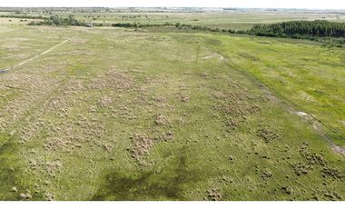 Vendo Campo 20 Has en Ruta 39 Concepción del Uruguay Entre Ríos