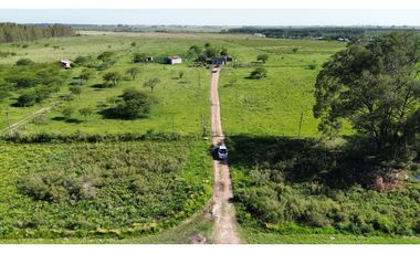 Vendo Campo 20 Has en Ruta 39 Concepción del Uruguay Entre Ríos