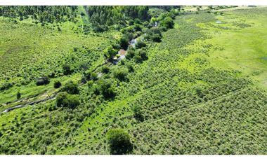 Vendo Campo 20 Has en Ruta 39 Concepción del Uruguay Entre Ríos