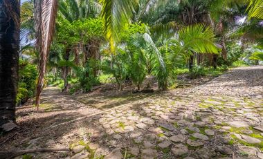 VISTA ENCANTADA 2, Guayabitos, Riviera Nayarit