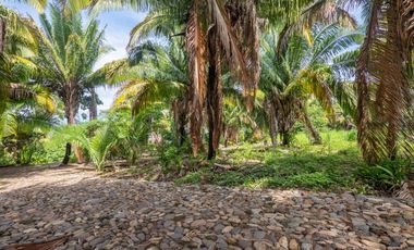 VISTA ENCANTADA 2, Guayabitos, Riviera Nayarit