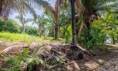 VISTA ENCANTADA 2, Guayabitos, Riviera Nayarit