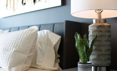 Harbor South Tower, Puerto Vallarta