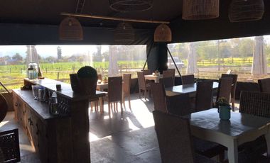 Parcela en venta en PALMILLA