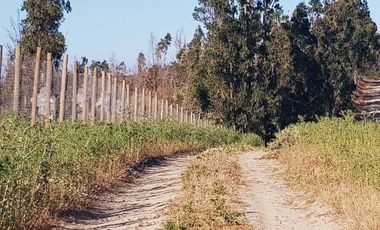 Parcela en venta en SANTO DOMINGO
