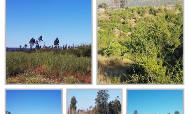 Parcela en venta en SANTO DOMINGO