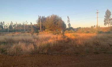 Ruta P-330/P-40 - Parcela - Venta