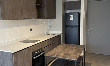Departamento en Arriendo en Antonio Ricauter