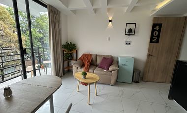 Renta Loft en la Roma Sur