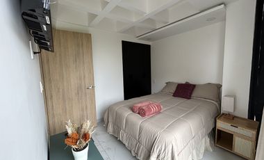 Renta Loft en la Roma Sur