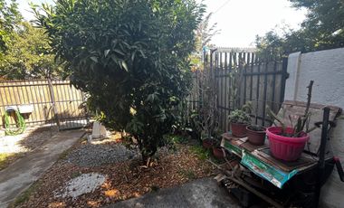 LINDA CASA EN COMUNA DE BUIN, SECTOR MAIPO