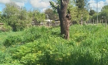 Casa en Venta en Sector Choroico