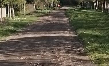 Casa en Venta en Sector Choroico