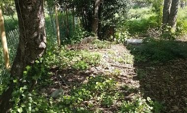 Casa en Venta en Sector Choroico