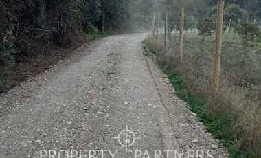 Maravillosa parcela con orilla de rio (Lanco)