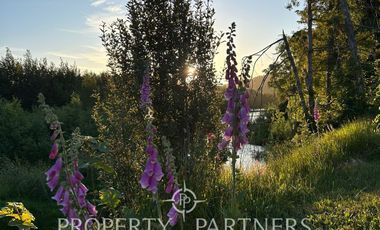 Maravillosa parcela con orilla de rio (Lanco)