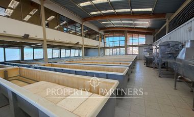 Propiedad Comercial en Venta en el Sector Panul Coquimbo
