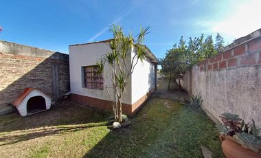 Terreno - Luis Guillon