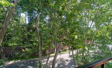 Departamento en Punta Chica