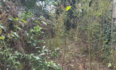 Terreno en venta Mérida atrás del Aeropuerto.