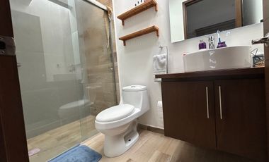 Casa en Renta, Fraccionamiento Arboreto, Forjadores, Periferico