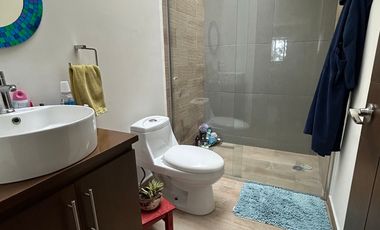 Casa en Renta, Fraccionamiento Arboreto, Forjadores, Periferico