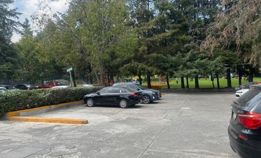 Departamento en Renta en PEDREGAL