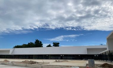 Local en plaza comercial