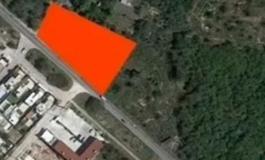 Local en plaza comercial