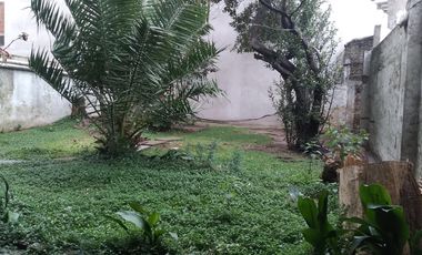 Departamento - Floresta