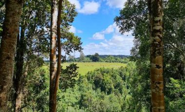 Vende parcelas con rol propio, desde 5.000 mt2, en proyecto Fundo Río Los Ostiones, Los Muermos.  Opción de Crédito directo.