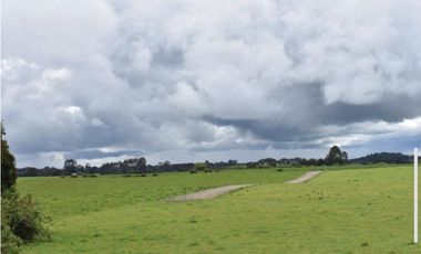 Vende parcelas con rol propio, desde 5.000 mt2, en proyecto Fundo Río Los Ostiones, Los Muermos.  Opción de Crédito directo.