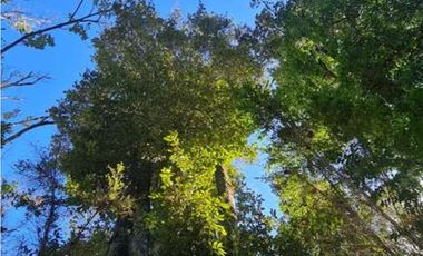 Vende parcelas con rol propio, desde 5.000 mt2, en proyecto Fundo Río Los Ostiones, Los Muermos.  Opción de Crédito directo.