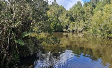 Vende parcelas con rol propio, desde 5.000 mt2, en proyecto Fundo Río Los Ostiones, Los Muermos.  Opción de Crédito directo.