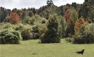 Vende parcelas con rol propio, desde 5.000 mt2, en proyecto Fundo Río Los Ostiones, Los Muermos.  Opción de Crédito directo.