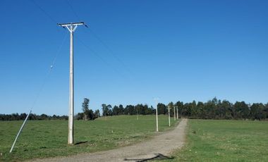 Vende parcelas con rol propio, desde 5.000 mt2, en proyecto Fundo Río Los Ostiones, Los Muermos.  Opción de Crédito directo.