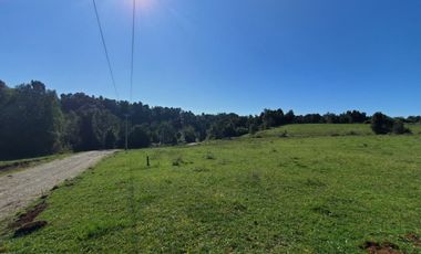 Vende parcelas con rol propio, desde 5.000 mt2, en proyecto Fundo Río Los Ostiones, Los Muermos.  Opción de Crédito directo.