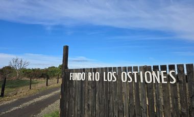 Vende parcelas con rol propio, desde 5.000 mt2, en proyecto Fundo Río Los Ostiones, Los Muermos.  Opción de Crédito directo.