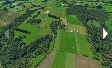 Vende parcelas con rol propio, desde 5.000 mt2, en proyecto Fundo Río Los Ostiones, Los Muermos.  Opción de Crédito directo.