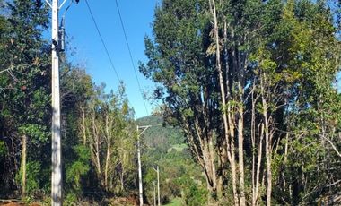 Vende parcelas con rol propio, desde 5.000 mt2, en proyecto Fundo Río Los Ostiones, Los Muermos.  Opción de Crédito directo.