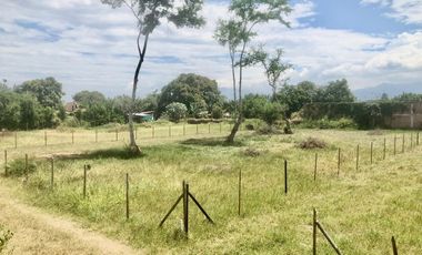 Venta Lotes  Rozo Palmira