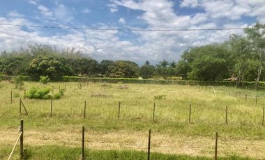 Venta Lotes  Rozo Palmira