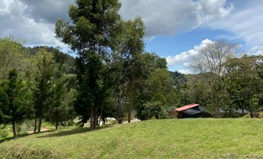 VENTA LOTE EN LA PARCELACION MARJULIA, SECTOR EL RETIRO - DON DIEGO