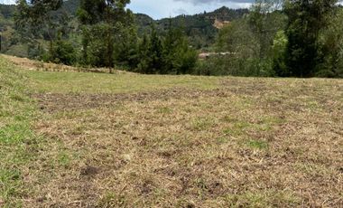 VENTA LOTE EN LA PARCELACION MARJULIA, SECTOR EL RETIRO - DON DIEGO