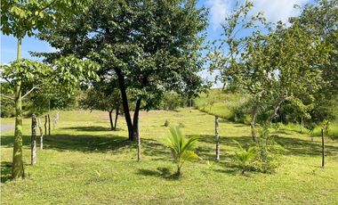 SAN CARLOS / EL ESPINO / 1500M / TOPOGRAFIA PLANA / CERCA DE PLAYA