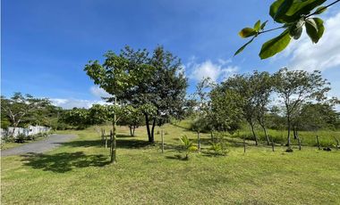 SAN CARLOS / EL ESPINO / 1500M / TOPOGRAFIA PLANA / CERCA DE PLAYA