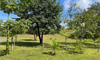 SAN CARLOS / EL ESPINO / 1500M / TOPOGRAFIA PLANA / CERCA DE PLAYA