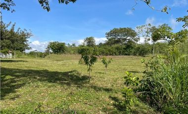 EL ESPINO / SAN CARLOS / 1500M / TOPOGRAFIA PLANA / CERCA DE PLAYA